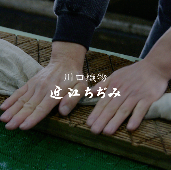 近江ちぢみ - MIZEN